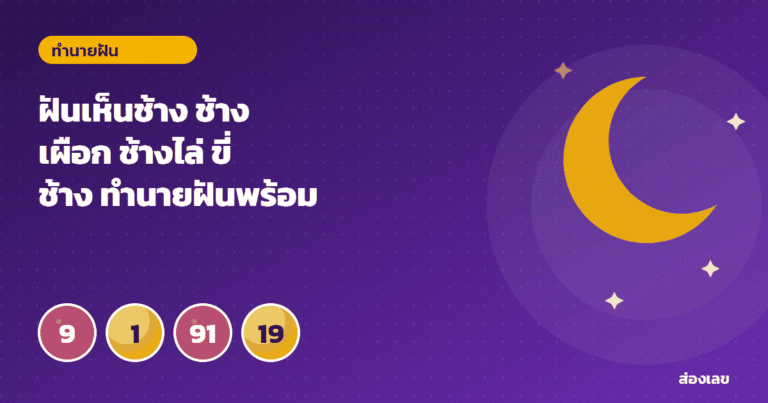 ฝันเห็นช้าง ช้างเผือก ช้างไล่ ขี่ช้าง ทำนายฝันพร้อมเลขนำโชค